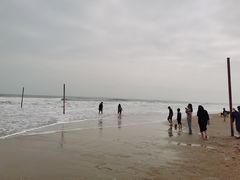-东海岛旅游度假区