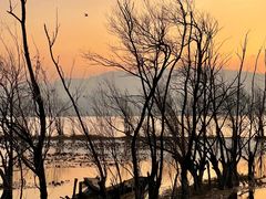 -洱海月湿地公园