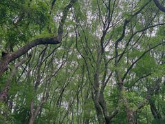 -宁波市保国寺古建筑博物馆