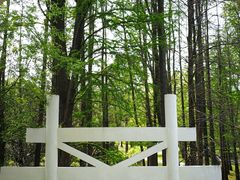 -共青国家森林公园-南大门停车场