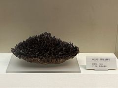 -天津自然博物馆