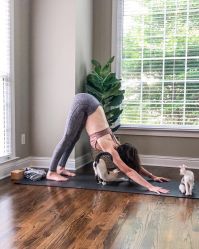点击看大图 -FineYoga梵音瑜伽·普拉提