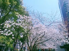 -玛格萝妮比萨屋(四平店)