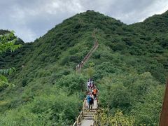 -大岭沟猕猴桃谷风景区