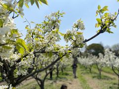 -广富林郊野公园