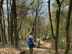 -涂山寺素食餐厅