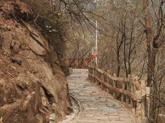 -大岭沟猕猴桃谷风景区