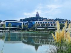 -铁山坪森林公园