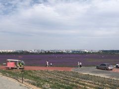 -京穆兰兰州牛肉面·清真(中川机场店)