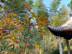 -径山寺