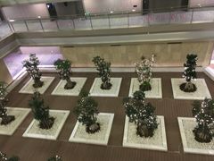 -南京禄口机场雅高铂尔曼大酒店