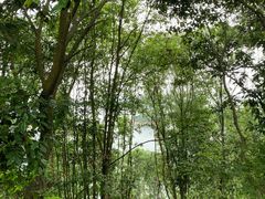 -庐山西海主景区