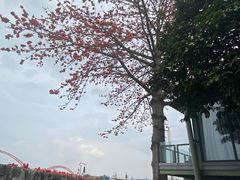 -喜洲吧·江畔老船厂·庭院餐厅(喜临院店)