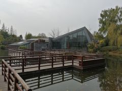 -成飞公园