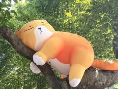 -西安电影制片厂