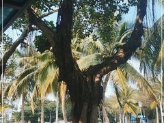 -白沙门生态公园