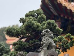 -普陀山风景名胜区-法雨禅寺