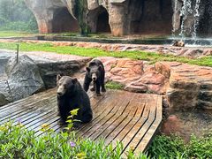 -海南热带野生动植物园