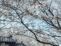 -凤凰沟景区