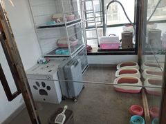 -泰国佛·塔罗·泰牌狐仙古曼