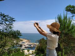 -广东惠东海龟国家级自然保护区