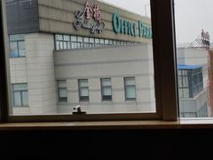 -上海金桥红枫万豪酒店-万豪中餐厅