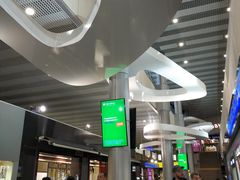 -谢列梅捷沃国际机场