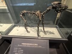 -大庆市博物馆