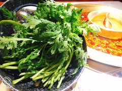 茼蒿-新哥老官·畅吃123·美蛙世界(苏宁广场店)