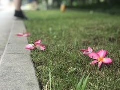 -寮步香市古镇休闲景区