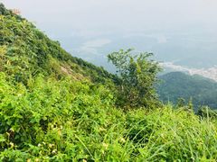 -玉和山庄农家菜