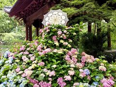 -吴山景区