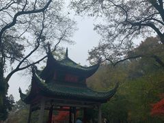 -岳麓山风景名胜区