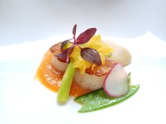 -蝶舍·MAISON PAPILLON