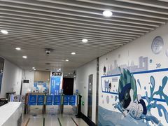 -北京科技大学-游泳馆