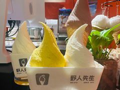 -野人先生现做冰淇淋(北京王府井东方新天地店)