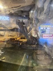 -Zoolung Zoolung动物主题公园(海信广场店)