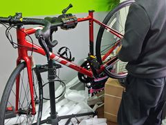 -道路口单车爱瓦士dahon大行