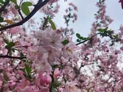 -白塘生态植物园