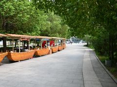 -溱湖国家湿地公园