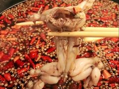 特色美蛙-三只耳冷锅鱼火锅(玉林店)