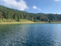 -武陵山森林公园