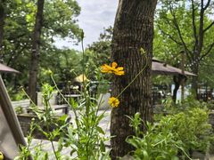 -WeLope紫金山探险公园