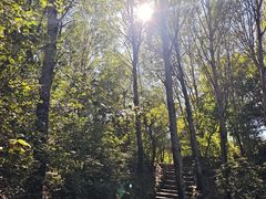 -玉渡山自然风景区