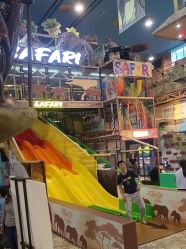 -卡通尼·Safari非洲探索乐园·生日会(金桥国际商业广场店)