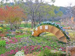 -苏州上方山国家森林公园