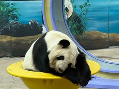 -鄂尔多斯野生动物园