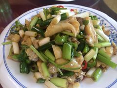 凉拌假鲍鱼-老苏扬饭店