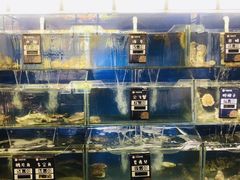 水产区-小船渔村•大连菜•大连焖鱼(明泽街店)