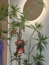 -水沐莲清瑜伽·普拉提